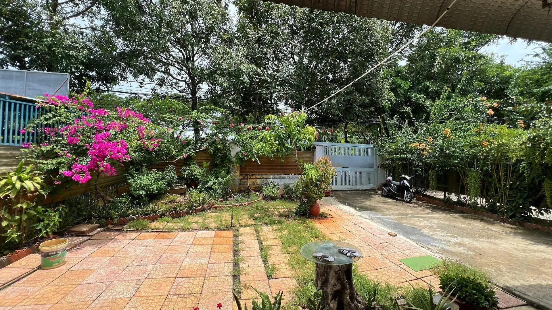 Bougainvillea Homestay 3Br - Lotus Pond - Cooking Class - Pool - Bbq Garden Vung Tau 0*,