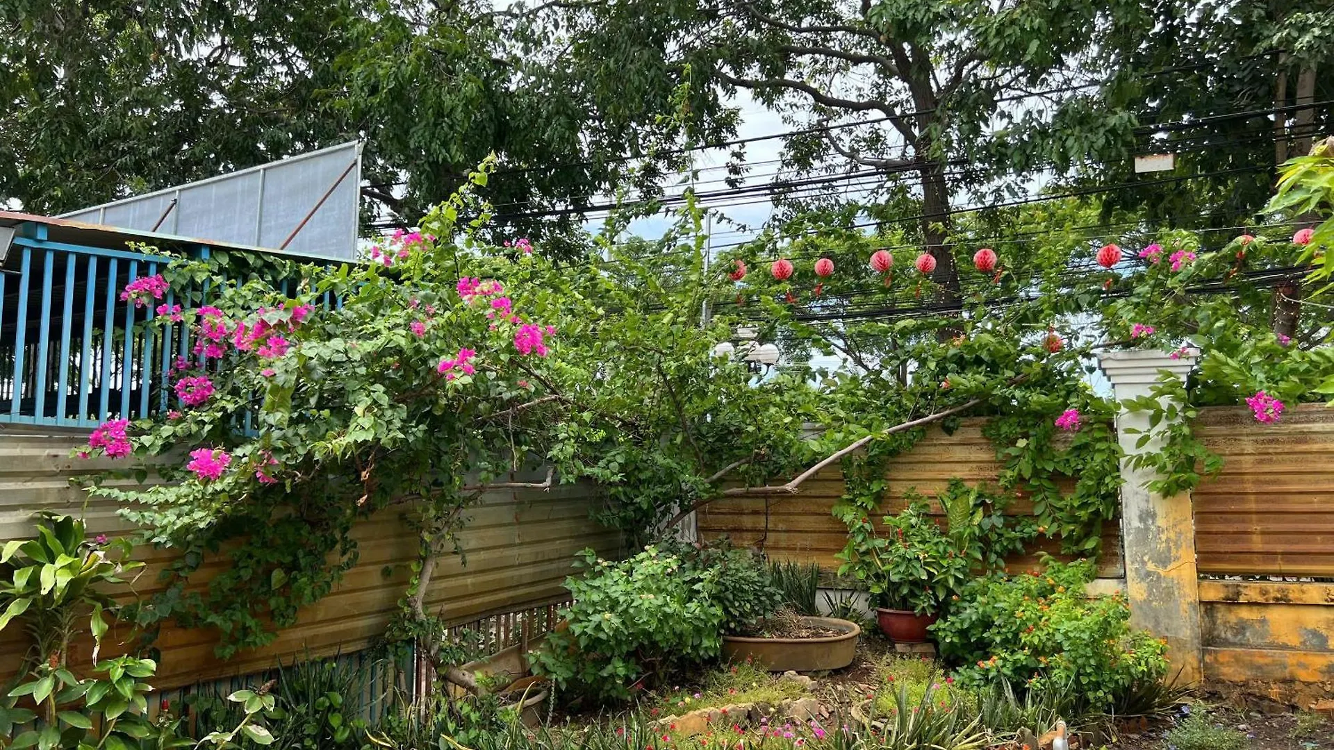 Bougainvillea Homestay 3Br - Lotus Pond - Cooking Class - Pool - Bbq Garden Vung Tau