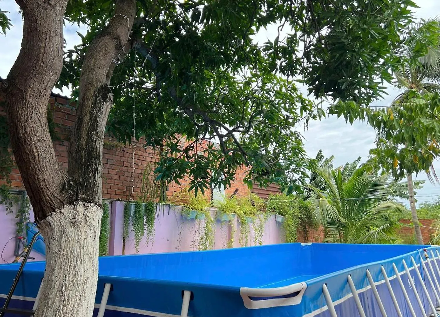 Bougainvillea Homestay 3Br - Lotus Pond - Cooking Class - Pool - Bbq Garden Vung Tau 0*,
