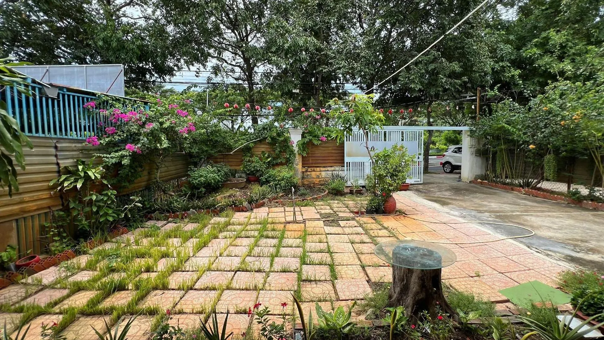 Bougainvillea Homestay 3Br - Lotus Pond - Cooking Class - Pool - Bbq Garden contacts