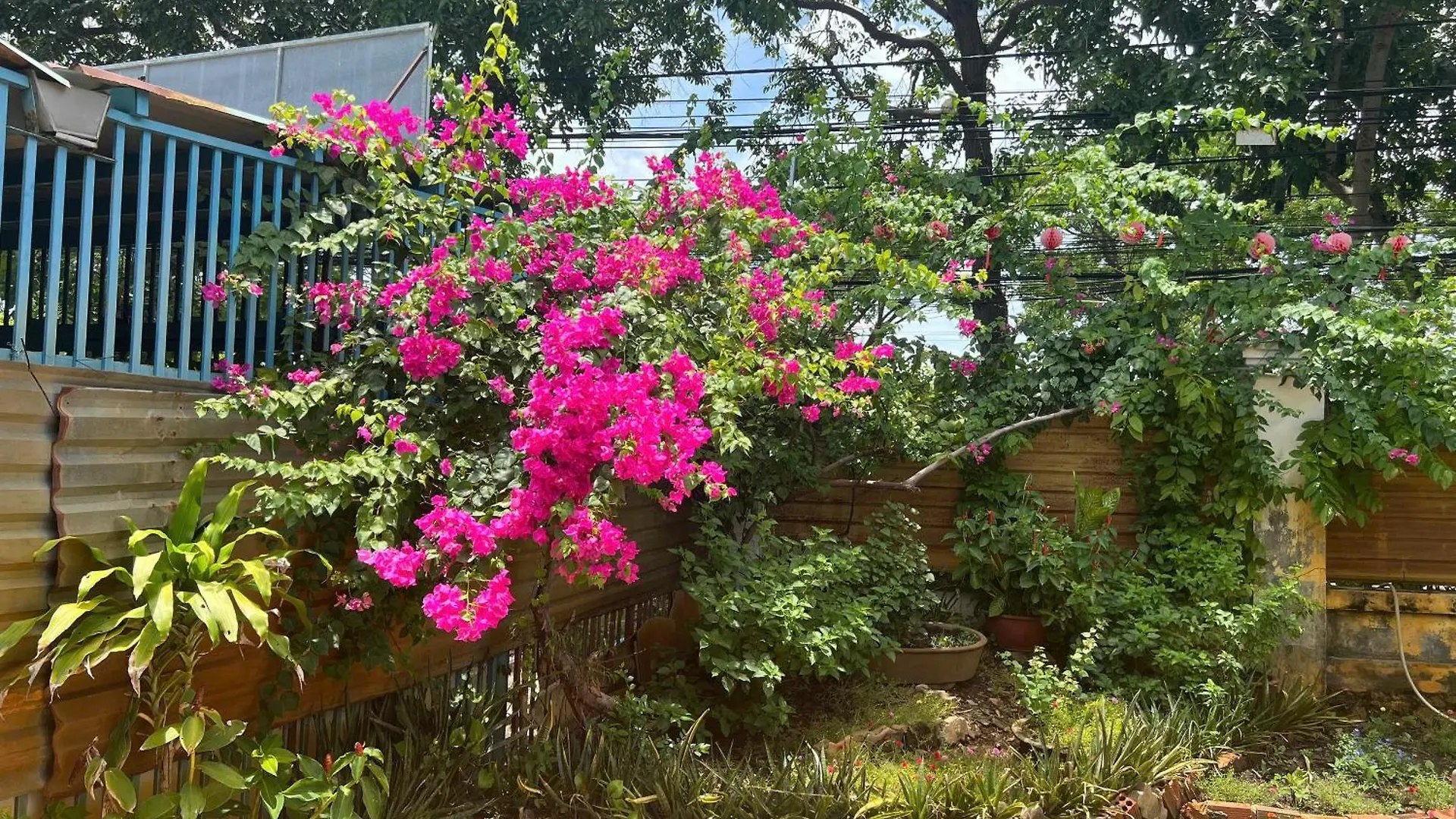 Bougainvillea Homestay 3Br - Lotus Pond - Cooking Class - Pool - Bbq Garden Vung Tau Holiday home